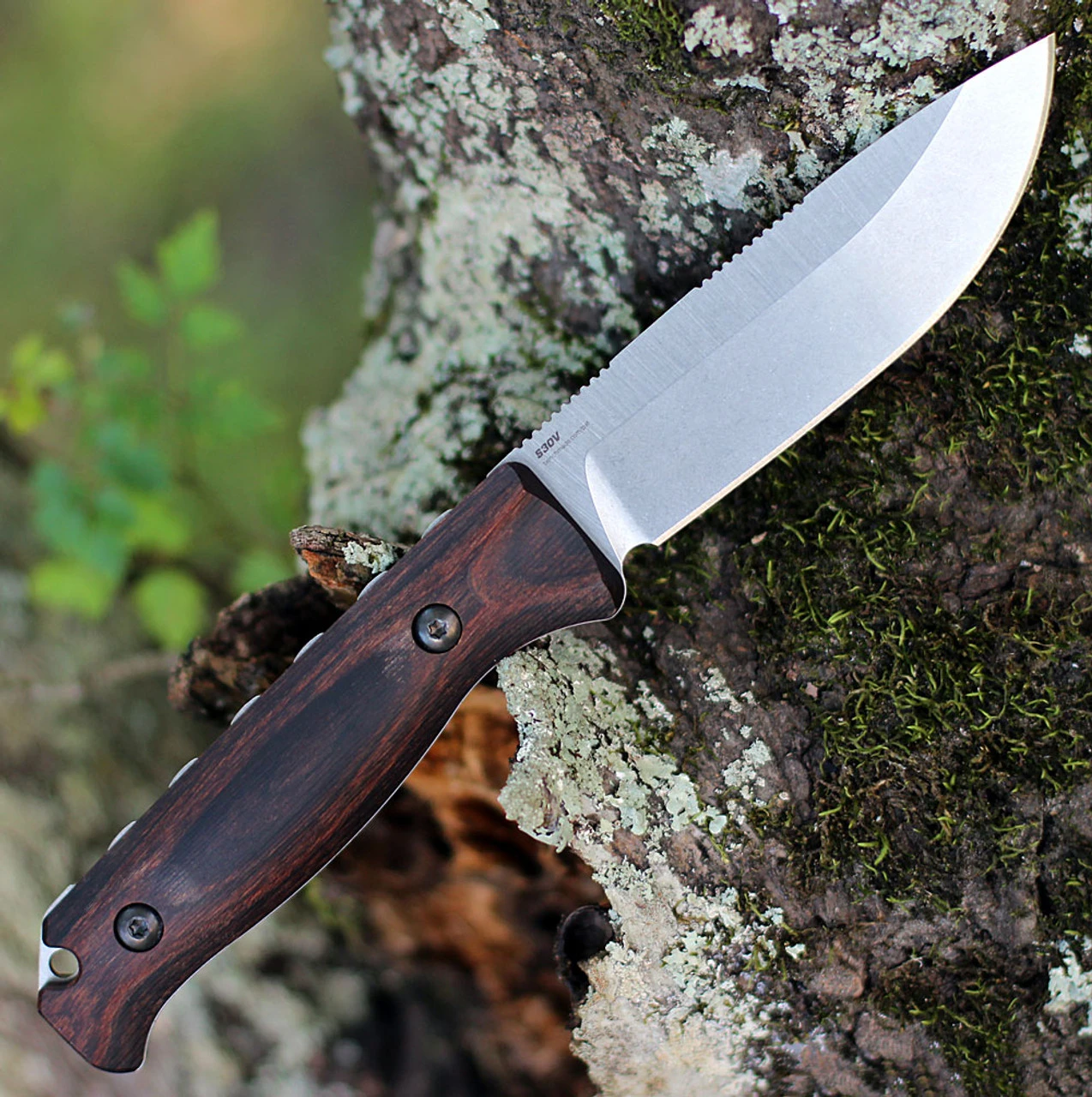Benchmade Saddle Mountain Skinner - Wood (4.20" CPM-S30V) 15002 4 Benchmade Saddle Mountain Skinner - Wood (4.20" CPM-S30V) 15002 - Image 2