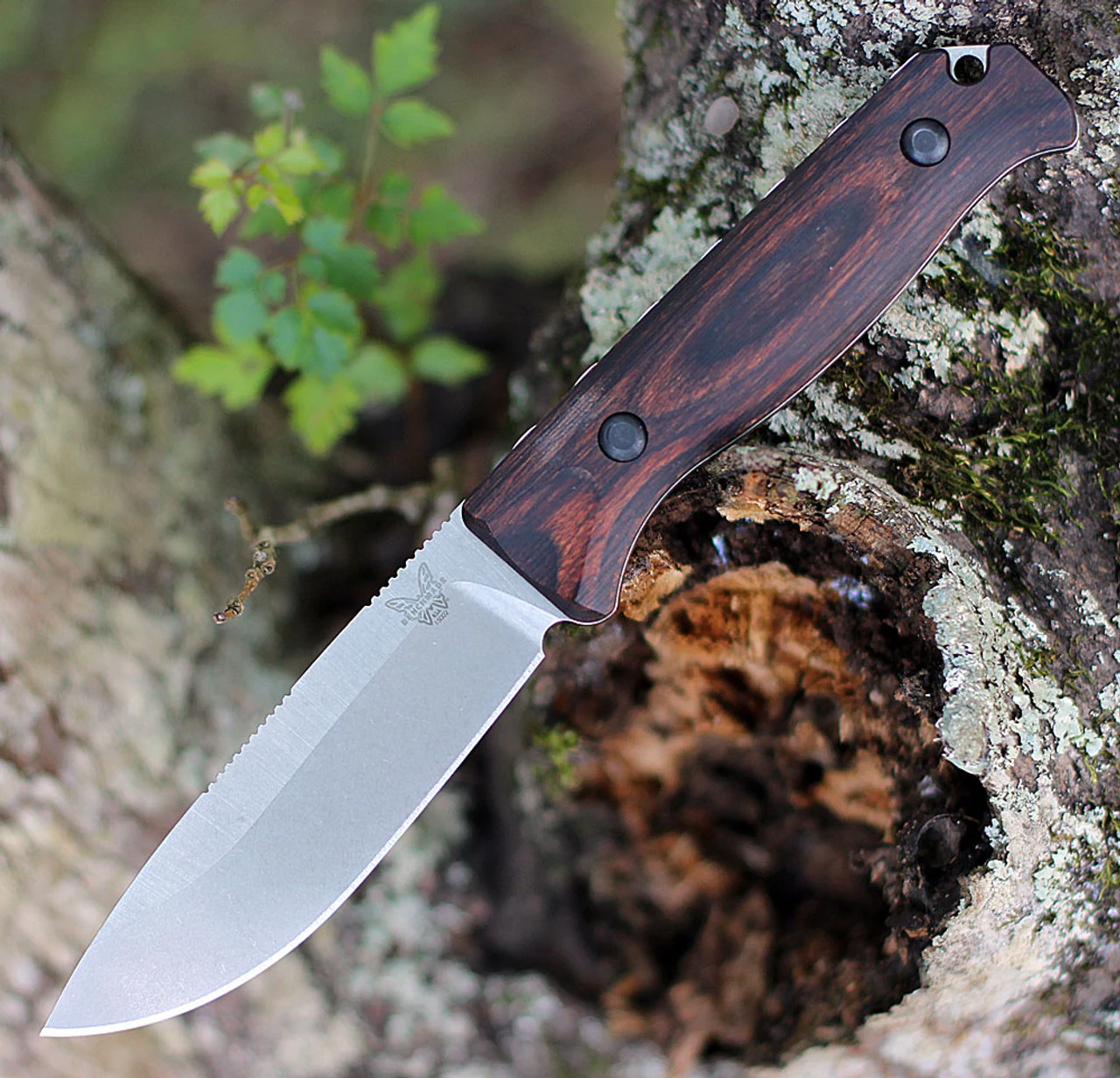 Benchmade Saddle Mountain Skinner - Wood (4.20" CPM-S30V) 15002 3 Benchmade Saddle Mountain Skinner - Wood (4.20" CPM-S30V) 15002