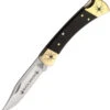 Buck 110 Black Widow- Ebony Wood (3.75" 420HC) YH403