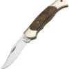 Boker Boy Scout - Brown Curly Birch (2.24" N690 Satin) 117118