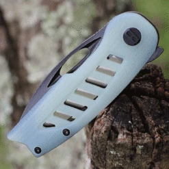 Bestech Knives Explorer - Transparent G-10 (2.87" D2) BG37C -Knife Sale Store BTKG37C.2 21767.1631816616