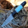 Damascus Blades - Buffalo/Turq Bone (4.5" Damascus) 1293TR -Knife Sale Store DM 1293RT.1 59704.1646248248