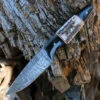 Damascus Blades - Buffalo/Stag Bone (4.5" Damascus) 1293SG 1 Damascus Blades - Buffalo/Stag Bone (4.5" Damascus) 1293SG -Knife Sale Store DM 1293SG.2 35452.1646247474