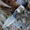 Damascus Hunter - Stag/Buffalo (3.75"Damascus) DM-1294SG -Knife Sale Store DM1294SG.1 98468.1647012577