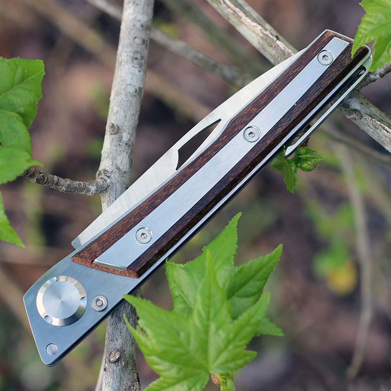 Actilam S4CWC Wood Folder W/ Clip, 3.375 In 14C28N SS Plain Blade 5 Actilam S4CWC Wood Folder W/ Clip, 3.375 In 14C28N SS Plain Blade - Image 3