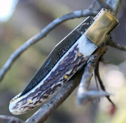 Damascus 1087 Folder, 3" Damascus Plain Blade, Stag Handle -Knife Sale Store dm1087.6 48218.1566585956