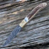 Damascus 1087 Folder, 3" Damascus Plain Blade, Stag Handle -Knife Sale Store dm1087.7 56711.1566585952