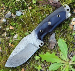 Damascus 1128HN Fixed Blade, 3.5" Damascus Plain Blade, Buffalo Horn Handle