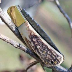 Damascus 1168 Lockback, 3.25" Damascus Plain Blade, Stag Bone Handle -Knife Sale Store dm1168 1 53059.1566585947