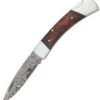 Boker Magnum Lord, Damascus, Burl Wood Handle -Knife Sale Store knifework bom790dam 74473.1566588689