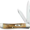 Case 048 Peanut, Genuine India Stag Handles (5220 SS) -Knife Sale Store knifework ca048 21120.1566585790