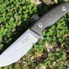 Dendra Russian Bear Fixed Blade, Stonewashed Niolox Steel, Black Micarta Handle